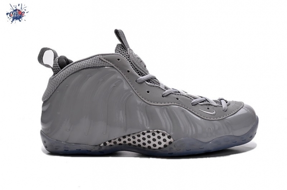 Meilleures Nike Air Foamposite One Gris Noir