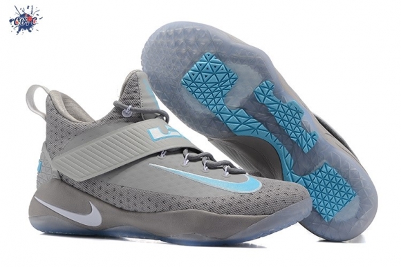 Meilleures Nike Lebron Ambassador X 10 Gris Bleu