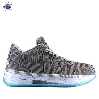 Meilleures Li Ning Way Of Wade 2 Low "Iceman" Gris (ABAJ007-5B)